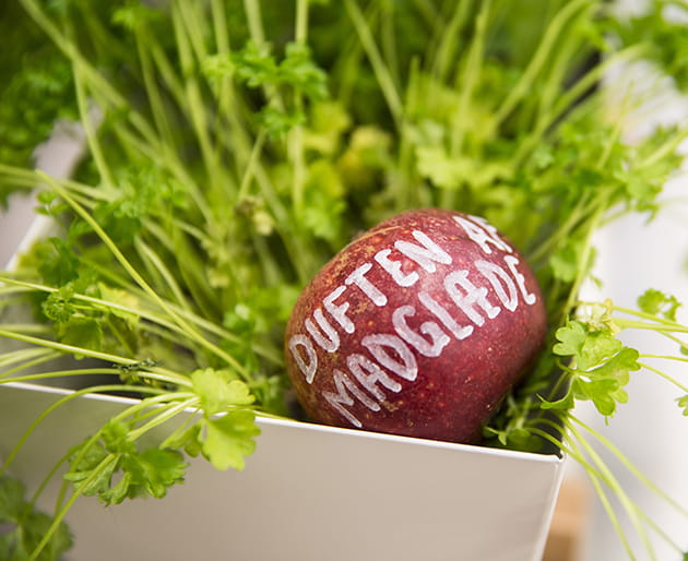 Persille i krukke med æble med sætningen "Duften af madglæde"