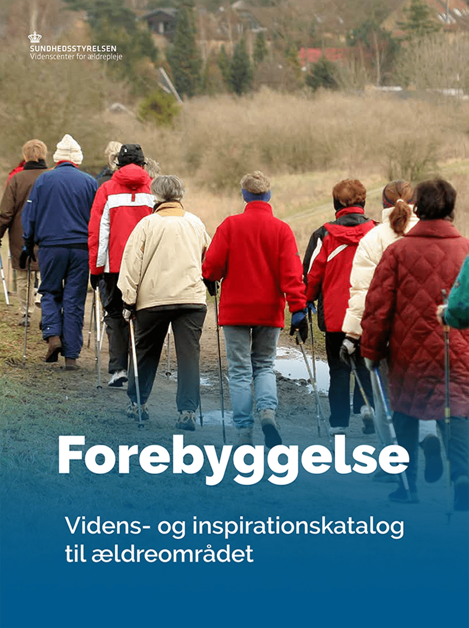 Forside til publikation om forebyggelse